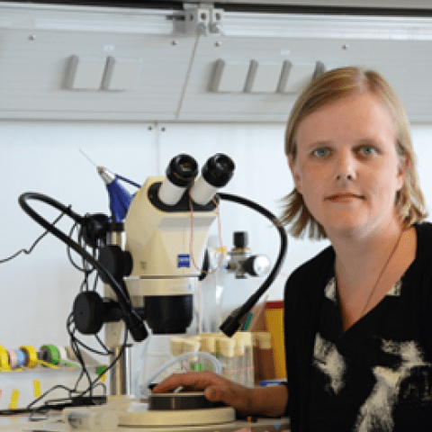 Marion Silies, Professor of Neurobiology